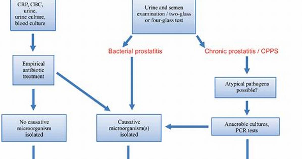 Prostatitis Icd 10