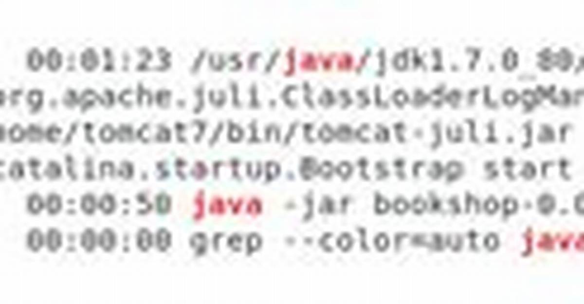 "Ps -Ef | Grep Java" Using Java Program [Closed]