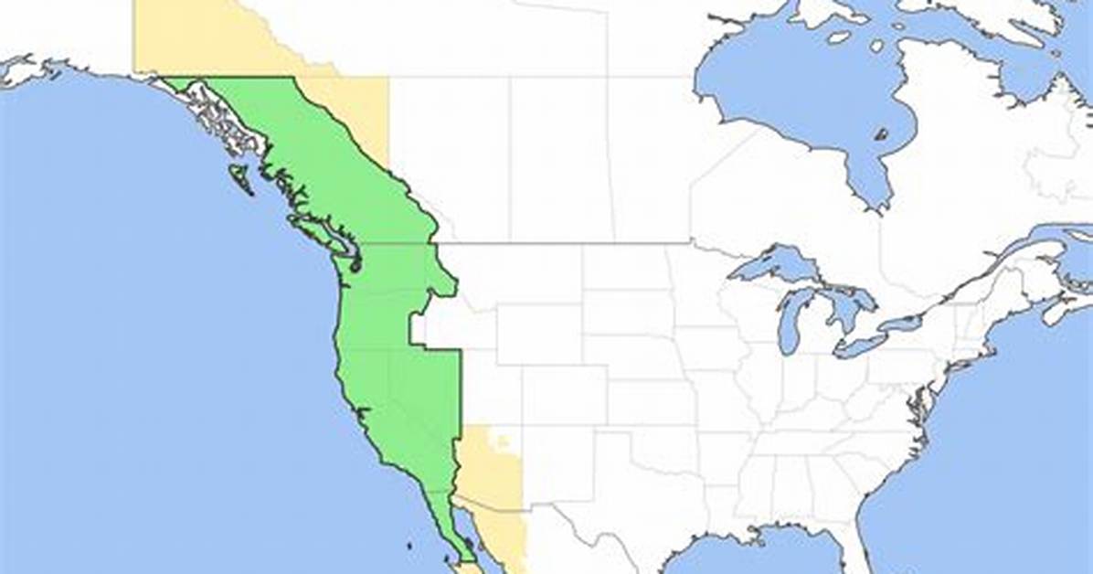 Pt Timezone