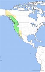 Pt Timezone