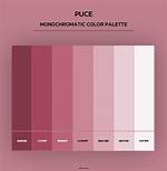 Puce Color