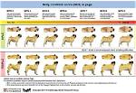 Pug Weight