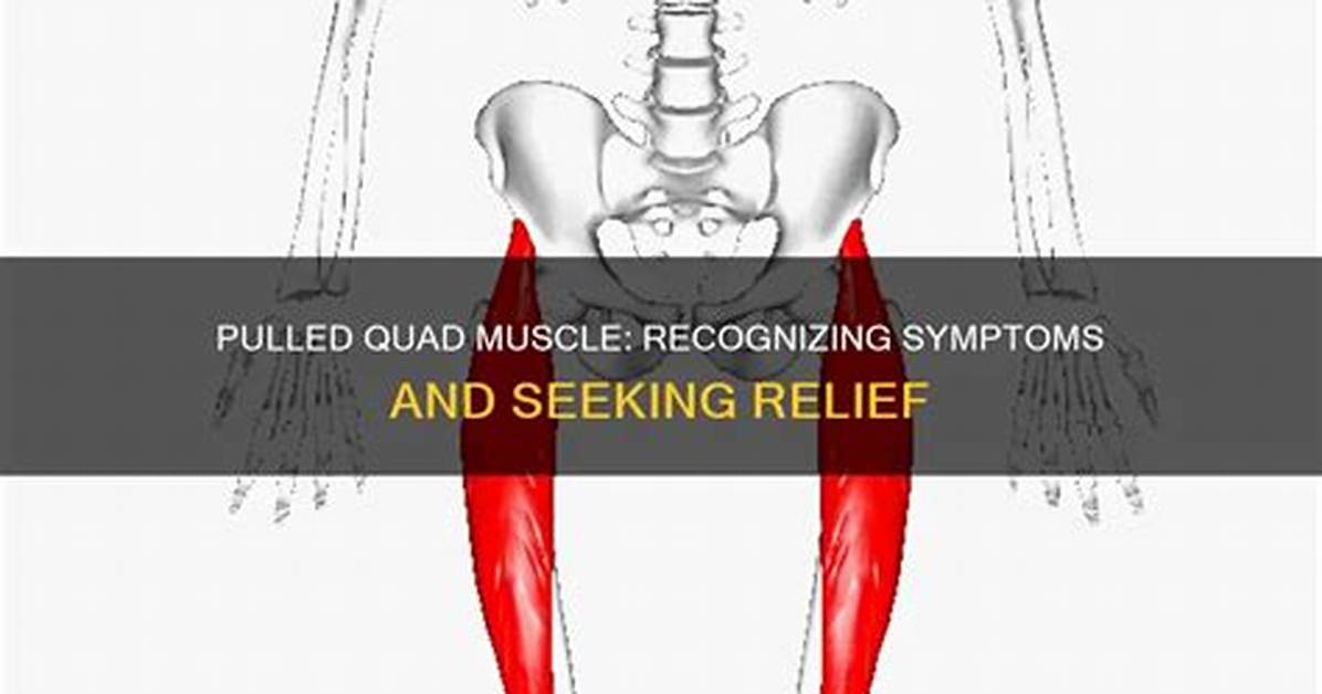 Pulled Quad Symptoms
