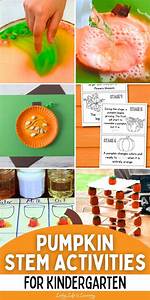 Pumpkin Stem