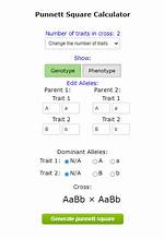 Punnett Square Calculator