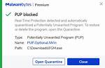 Pup. Optional. Miner