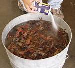 Purging Crawfish