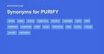 Purify Synonym