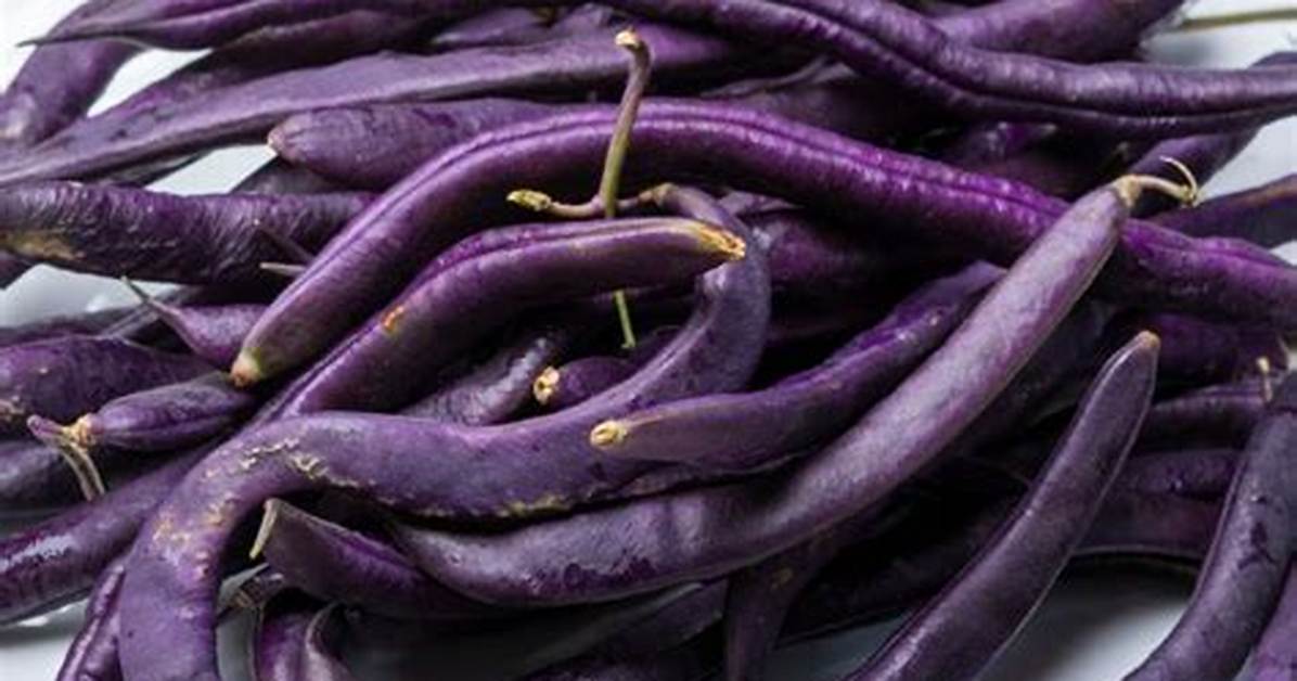Purple Beans