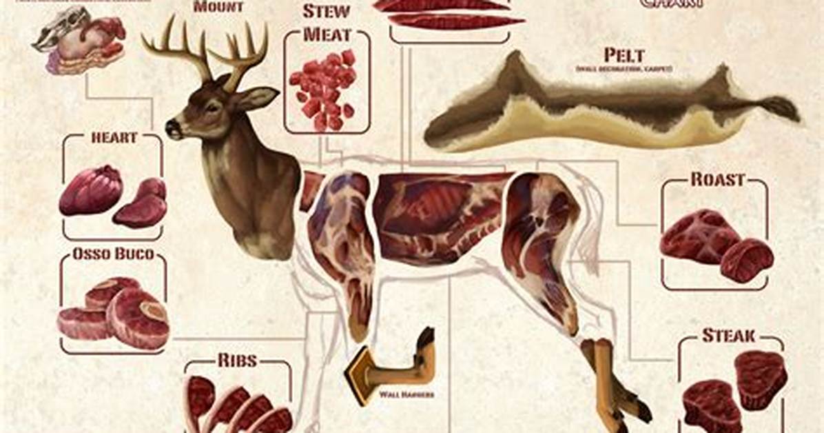Put Cleanliness First When Processing Deer