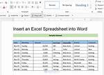 Put into a Spreadsheet or Word-Processing Document Say