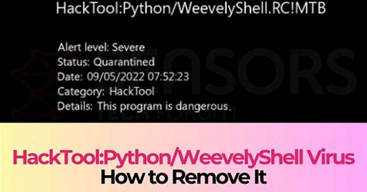 Py: Application. Hacktool. Meterpreter. Bkd