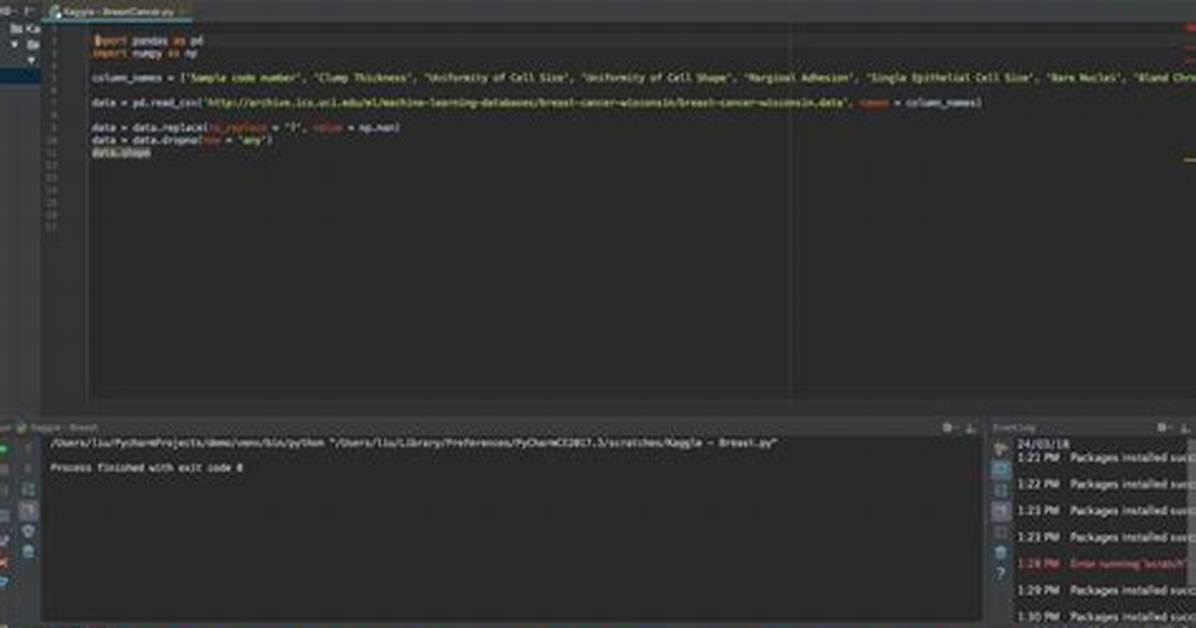 Pycharm: Process Finished with Exit Code 0