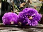 Pygmy Puff