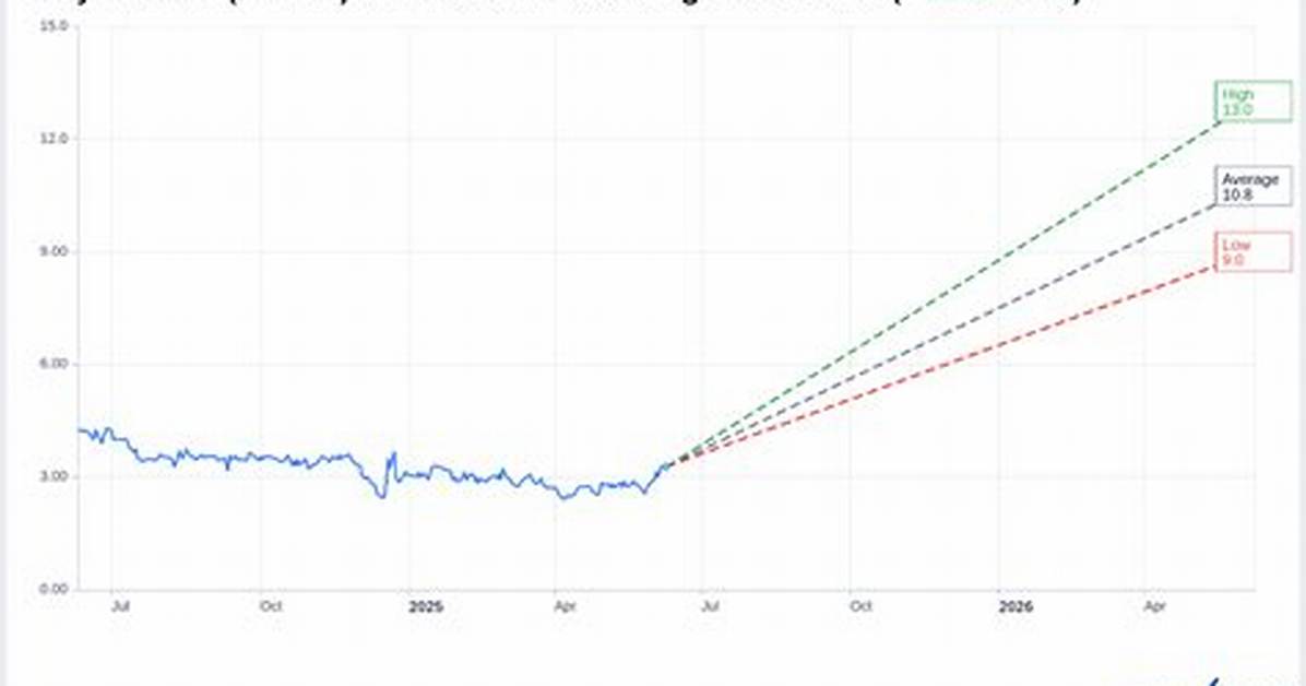 Pypd Polypid Ltd. Compare
