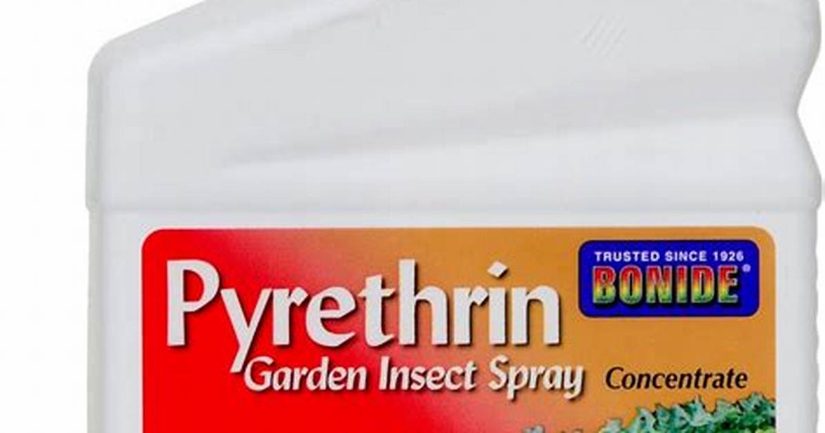 Pyrethrin Spray