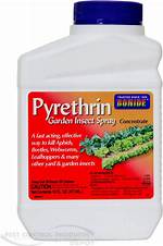 Pyrethrin Spray