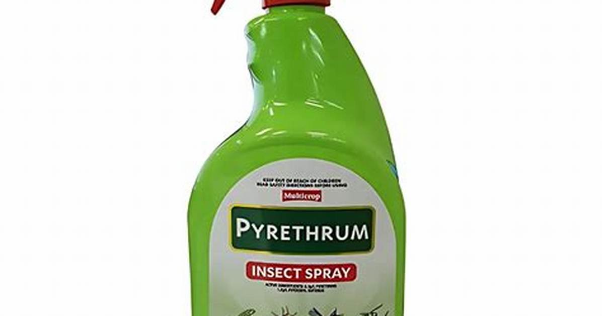 Pyrethrum Spray