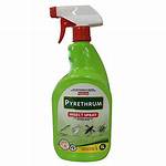 Pyrethrum Spray