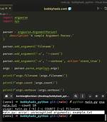 Python Argparse: Unrecognized Arguments