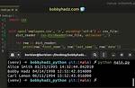 Python Csv Dictreader
