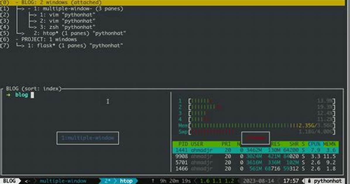 Python: How to Invoke Tmux in Background
