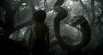 Python in the Jungle Book