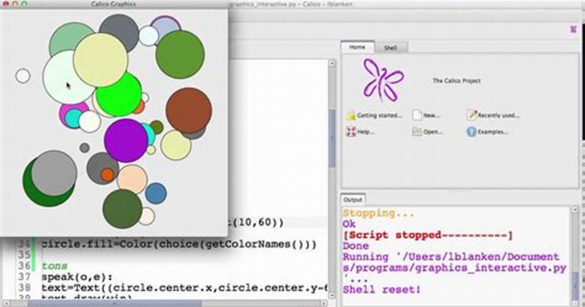 Python Interactive Graphics