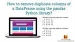 Python Pandas Remove Duplicate Columns