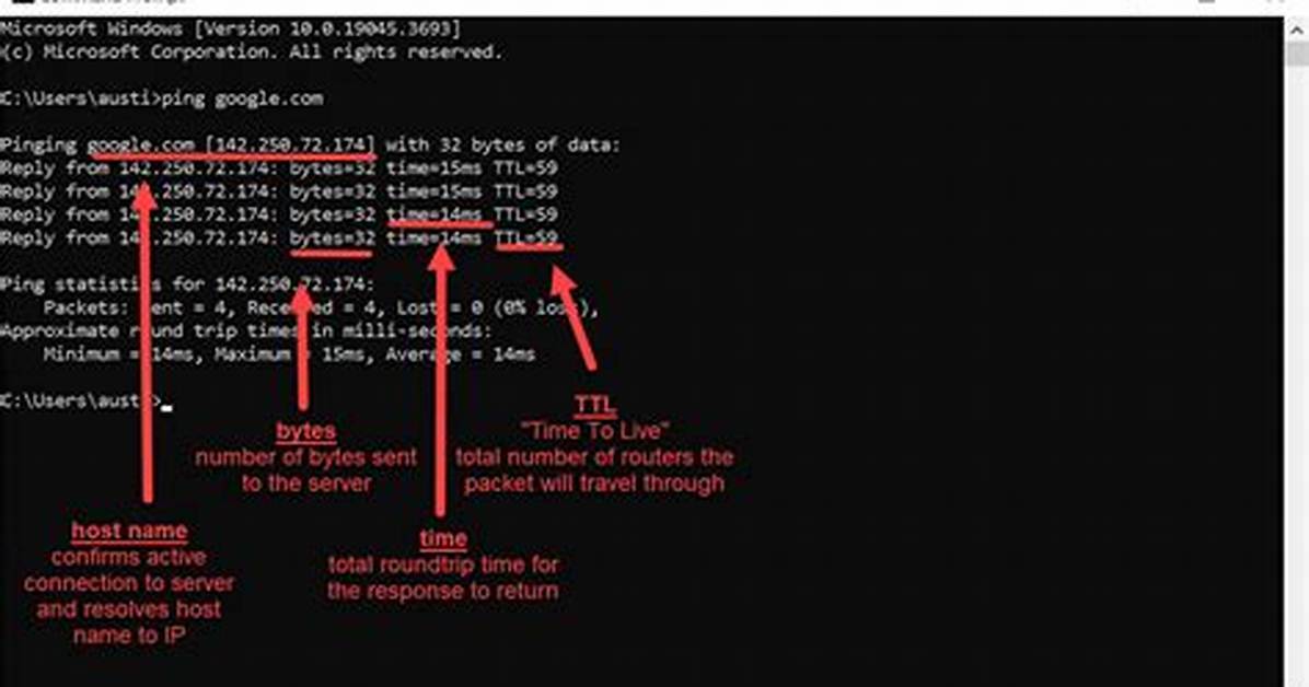 Python Ping Ip Address with Results
