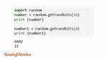Python Random Function