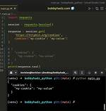 Python Requests Get Cookies