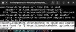 Python Requests - No Connection Adapters
