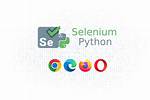 Python Selenium Click on Button