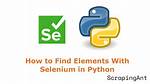 Python & Selenium - How Do I Find All Element Ids on a Page?