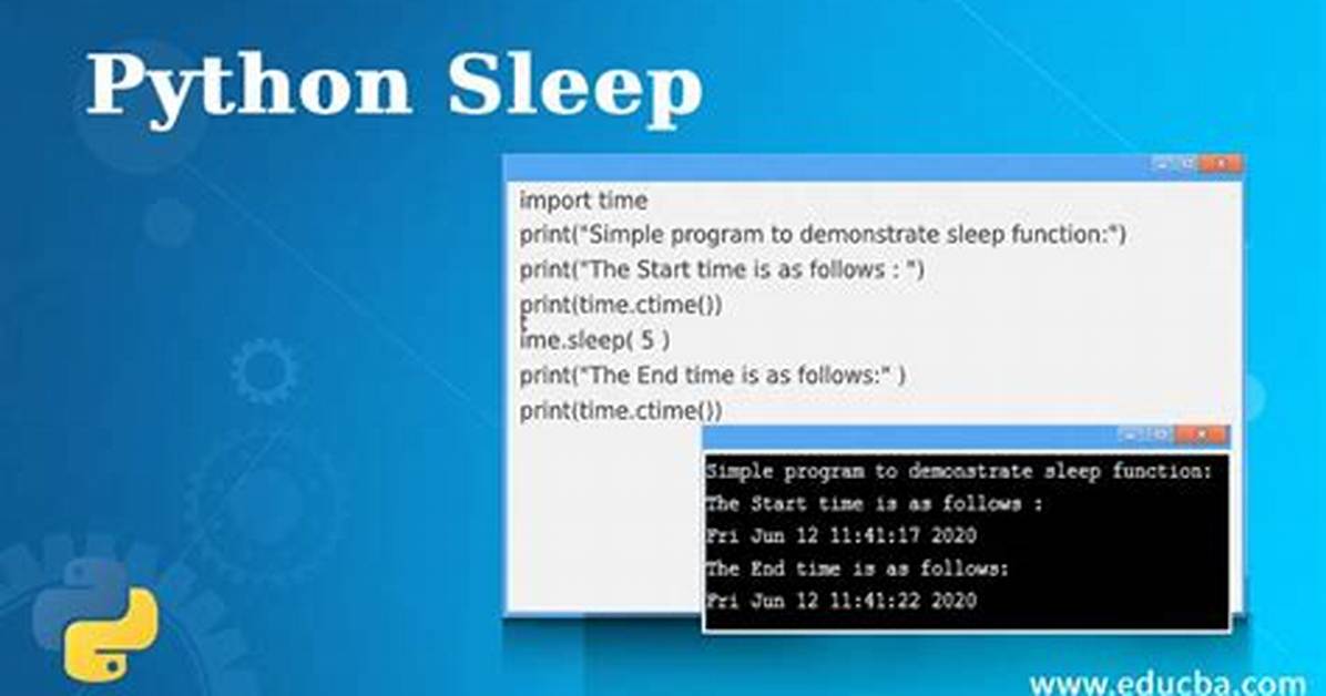 Python Sleep Function