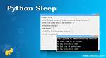 Python Sleep Function