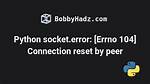 Python Socket Throwing the Following Error Connectionreseterror: [Errno 54] Connection Reset by Peer