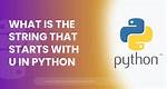 Python String Prints as [U'string']