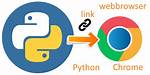 Python Webbrowser. Open() to Open Chrome Browser