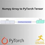 Pytorch Tensor to Numpy Array