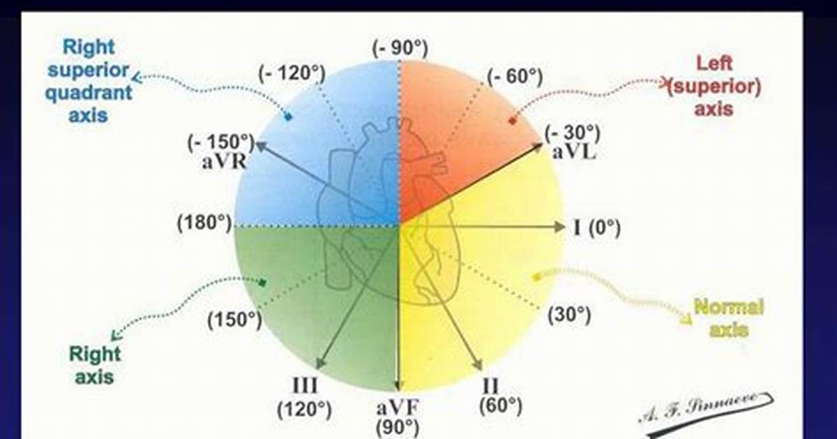 Qrs Axis Normal Range