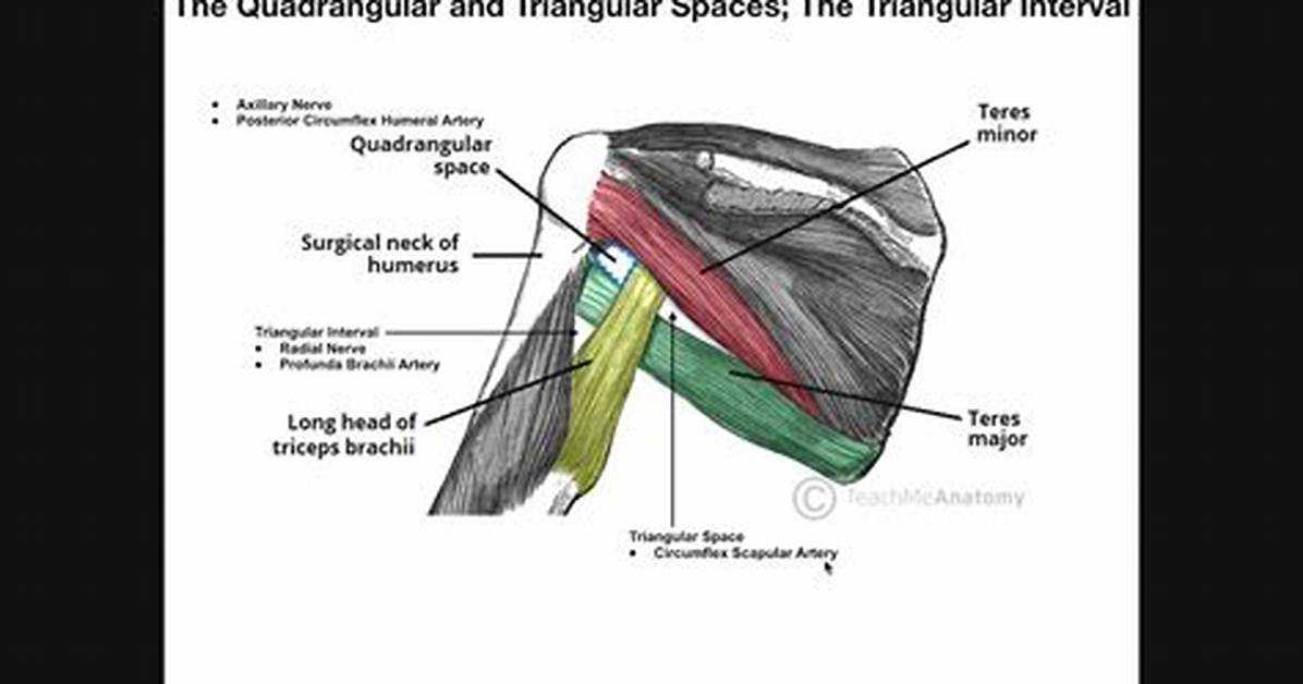 Quadrangular Space