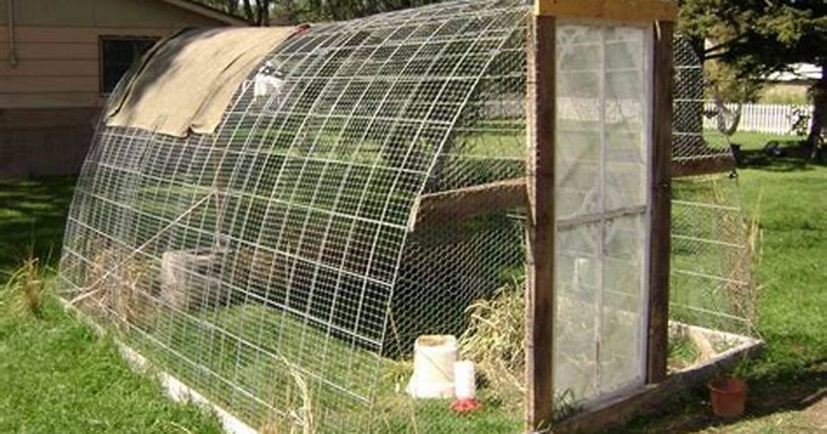 Quail Pens