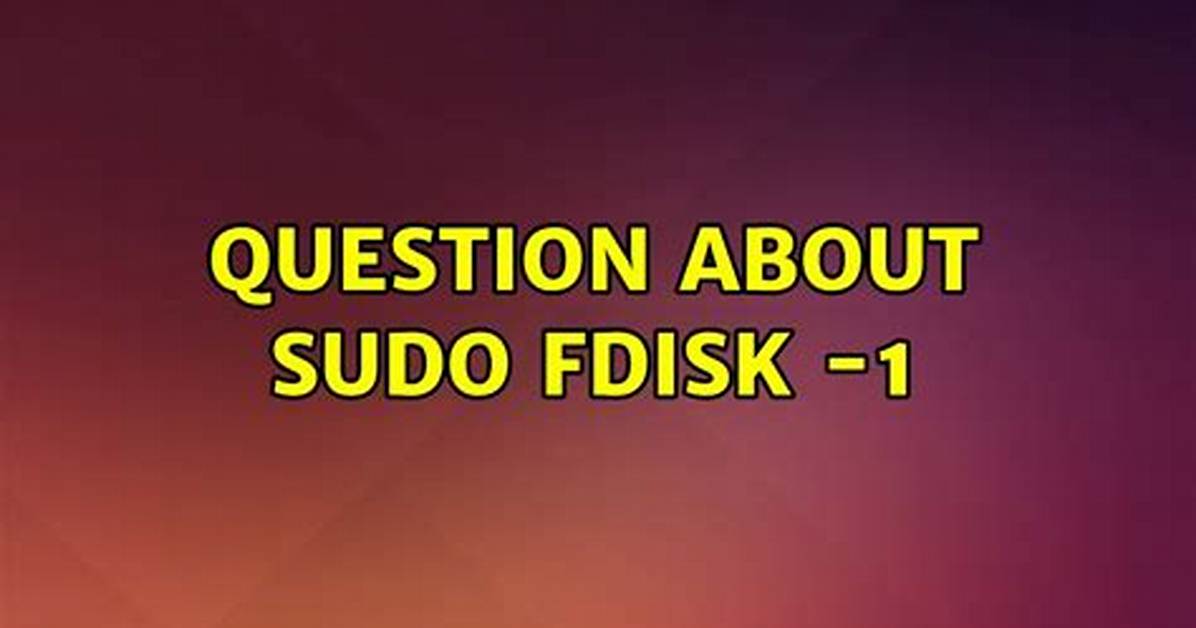 Question About Sudo Fdisk -1