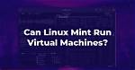 Question: Can Linux Mint Run Games?
