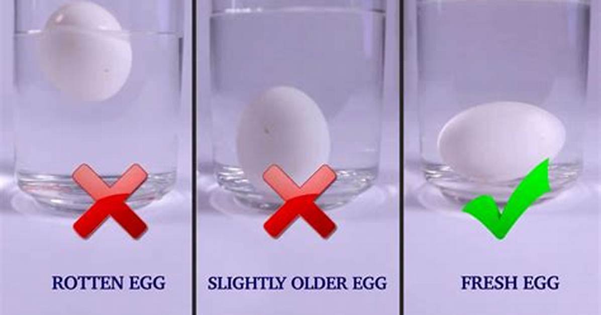Question: Do Boiled Eggs Float When They Are Done