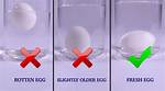 Question: Do Boiled Eggs Float When They Are Done
