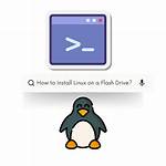 Question: Does Flash Work on Linux?
