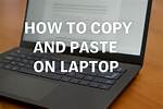 Question: How Do I Copy and Paste a Vm in Ubuntu?